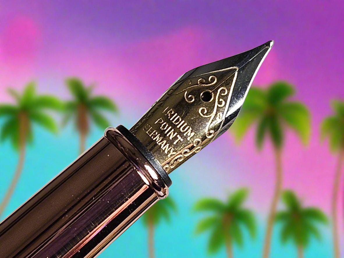 Fountain Pen: Beach Vibes Coconut Shell Label Cast Capped Fountain Pen with a Copper Pen Kit